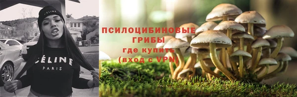 мяу мяу мука Ишимбай