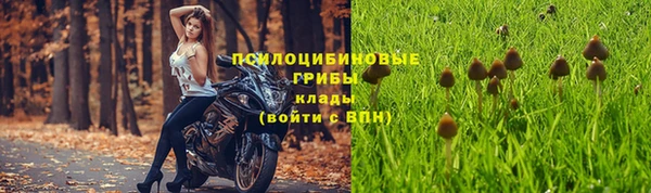 mdma Краснослободск