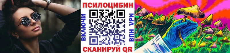 продажа наркотиков  darknet какой сайт  Псилоцибиновые грибы Magic Shrooms  Курильск 